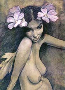 Illustration by B. Froud